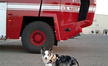 NAF El Centro Base Gym