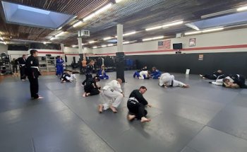 Universal Jiu Jitsu