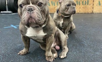 One Republic Fitness by Ricardo Duran