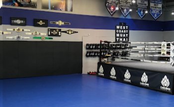 Carlsbad Kickboxing Club Boxing Martial Arts Academy