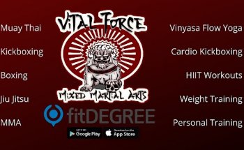 Vital Force Mixed Martial Arts & Fitness