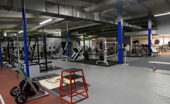 Gamespeed Sports Training