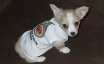 Burn Personal Training