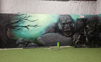 Silverback Gym