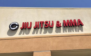 Centerline Gym - Jiu Jitsu, Muay Thai Kicking, Online Training