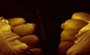 Mullins Boxing and Fitness