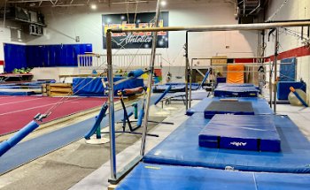 Next Level Fitness & Athletics