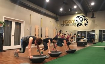 Iggy Training