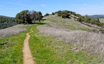 DeepGreen Fitness + Adventures