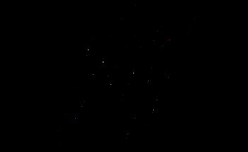 TheFactory Elite Fitness-Dixon