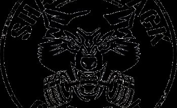 Shadow Pack CrossFit