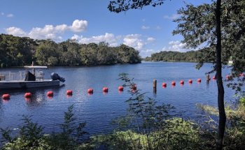 St Johns River Guided Cruises And Kayak Tours
