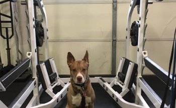 Forever Fit Foundation