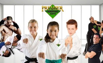 Premier Martial Arts Dover