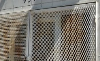 School of Hard Knocks Community Gym