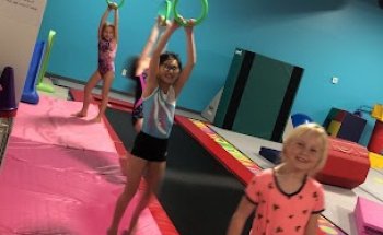 The Gym Nest Gymnastics and Preschool