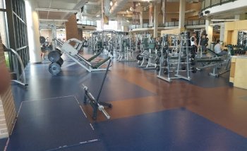 University Recreation