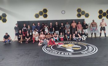 Killer Bees Kickboxing and Performance Center