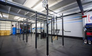 Profectus Performance