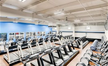 BFit by Bob's: Gym + Fitness - North