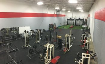 ELITE Performance & Wellness