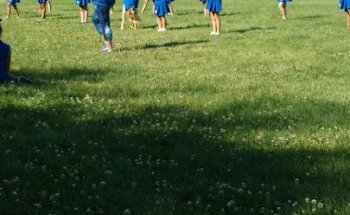 Hamilton Youth Athletic