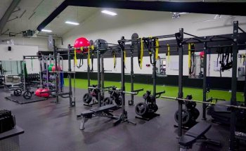 Dynasty Performance Training