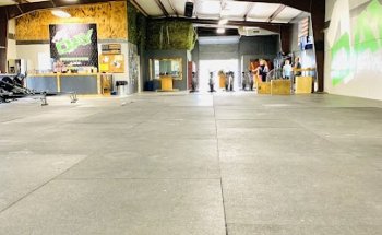 1Day Strength & Conditioning