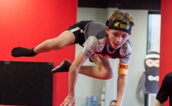 NinjaZone Academy Geist