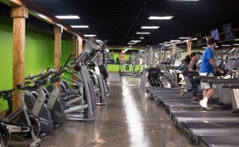 Gator Fitness Sheffield, Alabama