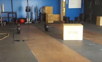 The lab fitness miami