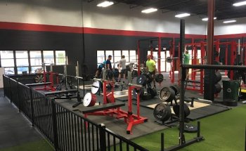 Output / Fitness & Performance