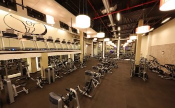 Push Fitness Club of College Point