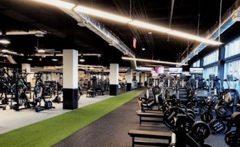 Powerhouse Gym Fort Lauderdale at the Galleria Mall