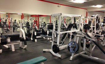 Body Masters fitness & training