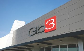 GB3 Palm- George Brown Sports Club