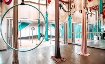 Altitude Pole Fitness & Aerial Arts