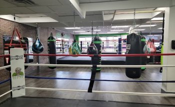 Slick Sluggers Boxing