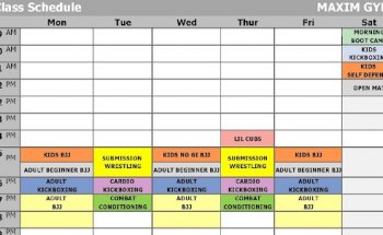 Maxim Gym Kickboxing and Fitness