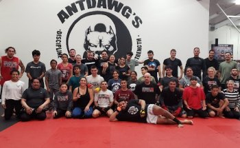 Antdawgs MMA Training Center