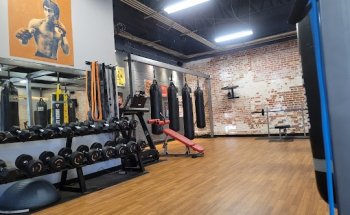 finesse boxing and martial arts