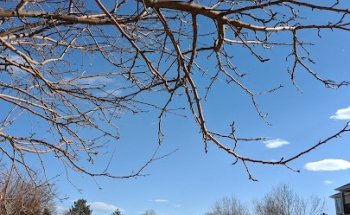 Performance Wellness Institute