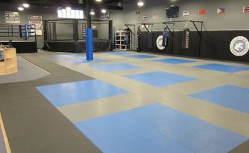 Plus One Defense Systems