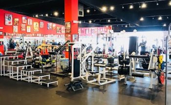 Dave Fisher's Powerhouse Gym Torrance