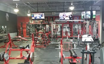 Texas Muscle & Fitness LLC