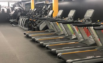 Optimum Sports and Fitness