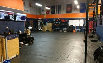 Scorpius Elite Fitness