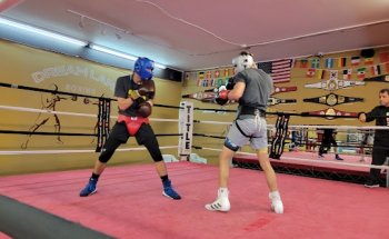 Hollister Boxing Academy