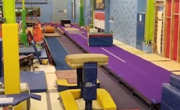 Bozhi's Gym Nest Inc