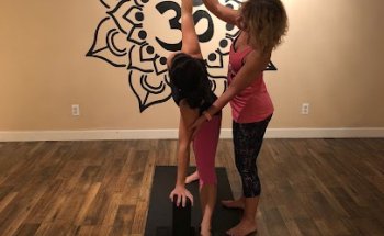 Brown Dog Yoga - Yoga | Barre | Cycle | Fusion